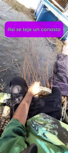 Frutos del Mimbre on TikTok