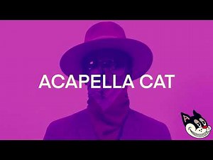 Mach-Hommy - The Stellar Ray Theory Acapella 90 BPM - 4K Acapella Cat
