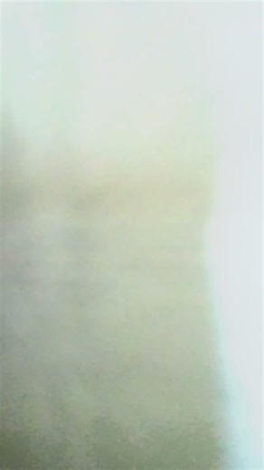 Screaming sleep Bird meme😁