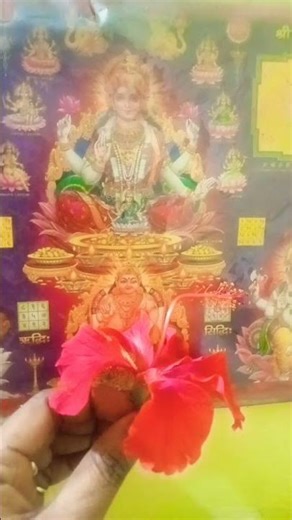 Jai Mata Di, mother, please fix my problems #astrology #facts #video