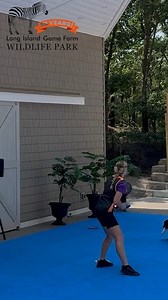 1.3K views · 21 reactions | Come see the Aim High Canines at the Long Island Game Farm: August 1, 2025 thru September 1, 2025 at 11:30am, 1:30 and 3:30pm (showtimes may change due to weather and other factors.) Shows included with general admission! Aim High Canines | Long Island Game Farm - Wildlife Park & Children's Zoo | Facebook