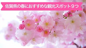 春におすすめの佐賀県の観光スポットを9つ紹介｜やすたび
