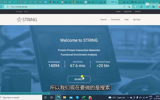 蛋白质相互作用的构建