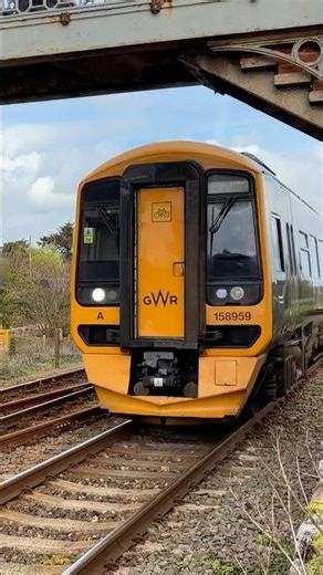 GWR class 158 speeds under the Victorian bridge,Dawlish Warren-Exeter to Paignton 158959 DMU