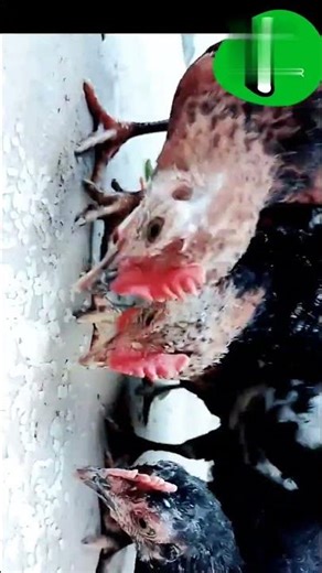 Very nice video, I made it with #robocom