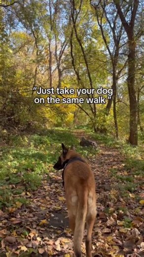 Never miss a moment with DogPack. Bring your dog everywhere with our map of dog-friendly spots! 🗺️ 🐕 Click the link in our bio to join our community today! 🐾 #dogowners #dogparents #dogparks #dogfriendly #dog | DogPack