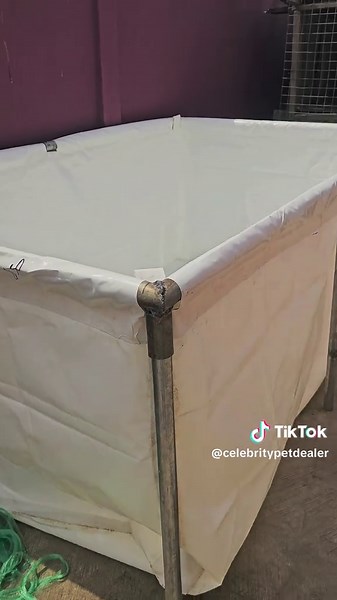 Catfish Fishing Rod Setup and Techniques