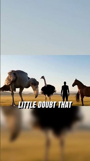 What Made Terror Birds So Dangerous?