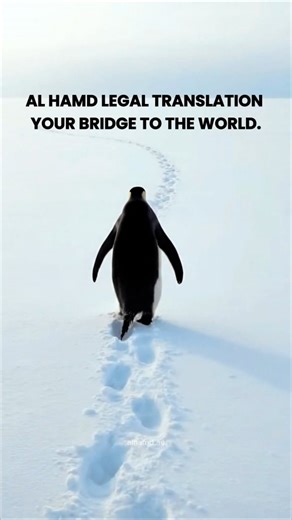 Like this perfect duo 🐧✨, great partnerships need understanding, trust, and clear communication. At Al-Hamd Legal Translation, we connect people, businesses, and opportunities—one document at a time. 📍 Your trusted translation partner in the UAE #alhamdlegaltranslation #penguin #legaltranslationdubai #trendingreels #certifiedtranslation | AlHamd Legal Translation L.L.C