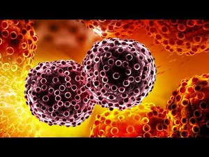 Galectin-3 and Modified Citrus Pectin