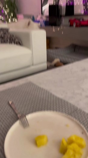 Teaching our dog the value of money #samoyed #dogsoftiktok #amex @American Express #fyp #foryou #lifelesson