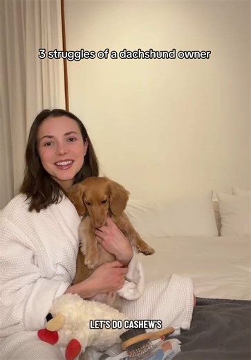 Effective Solutions for Common Dachshund Behavior Issues