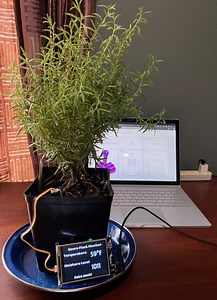 UPDATED GUIDE: PyPortal IoT Plant Monitor with Microsoft Azure IoT and CircuitPython @adafruit @microsoftiot #AdafruitLearningSystem #Azure #PythonHardware