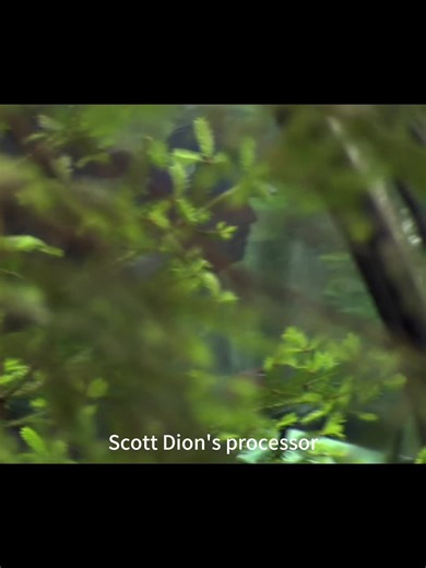 Exploring Maine Logging Practices and Heavy Machinery