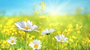 3 hours anxiety relief music with calming sounds for health, stress and depression relief