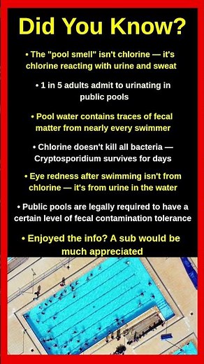Things You Didn't Know About Public Swimming Pools 🏊⚠️