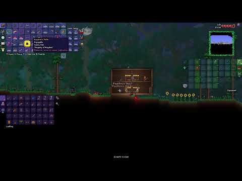 Terraria single player