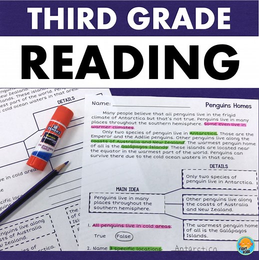 3rd Grade Reading Comprehension Cut & Paste Worksheets Main Idea Homeschool Learn at Home - Etsy