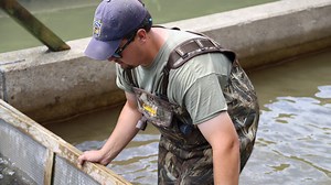 Mudsnails found in two state hatcheries in central Pa., but trout stockings continue