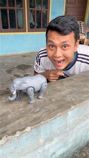 Screaming Elephant🐘 #shorts #trending #funny #subscribe