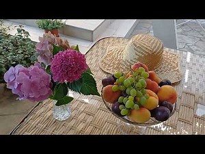 Summer paradise in my garden