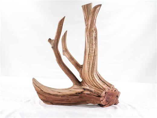 Unique Manzanita Driftwood (14") Planted Tank Hardscape, Natural Aquarium Wood, OOAK Find, Ready to Ship - Etsy