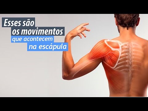 These are the movements that happen in the scapula
