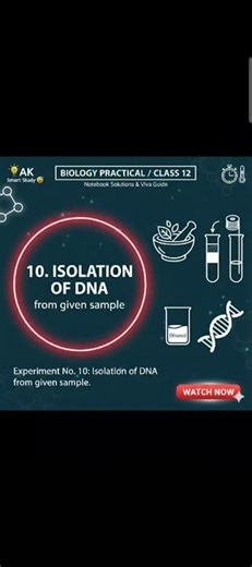 Class 12 Biology Practical 9: How to Isolate DNA from Plant Material.