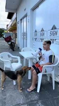 Alarm whistle prank🚨 #police #alarm #funny #funnyvideo #usa #fyp