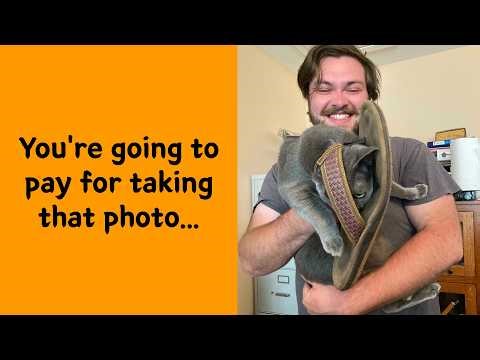 50 Animals That Got Themselves Stuck In The Funniest Ways