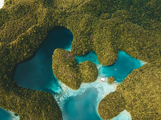 Sugba Lagoon in Siargao: The Original Guide
