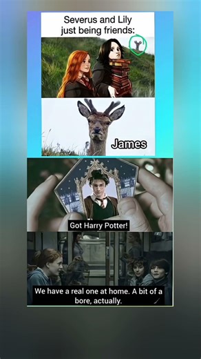 Harry Potter Memes That Will Make You LOL! 😂 #harrypotter #memes #shorts