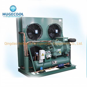 [Hot Item] Compressor Condensinn Unit for Cold Room Storage