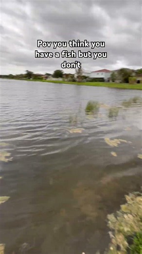 No fish #fishing
