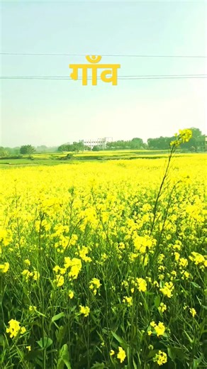 गाँव 🥰 #shorts #newvlog #shortsfeed #viralshorts #vlogger #vlogvideo #youtubeshorts #viruls