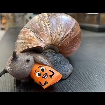 LIFE IS BETTER WITH DOODLES - WORLD OF DOODLES #6