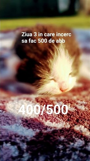 va mulțumesc mult foarte foarte mult din suflet pentru 400 de abb ❤️❤️🥹