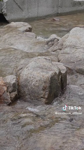 Soothing Sounds of Flowing Stream for Deep Sleep