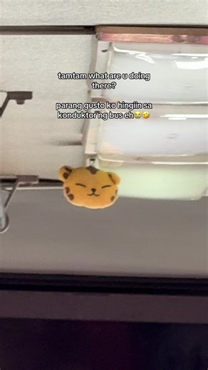 Seventeen's Hoshi and Joshua Fun Moments in the Philippines