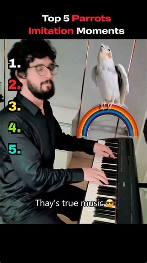 Ranking Top 5 Parrots Imitation Moments #shorts