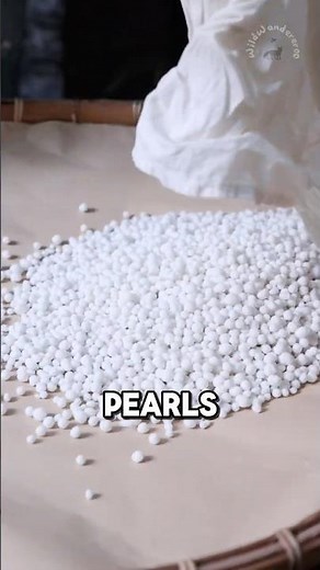 How Tapioca pearls are Made with Arrow Roots