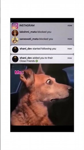 2026 me to duniya khatam hai ☠️ Viral dark dank meme review #trending