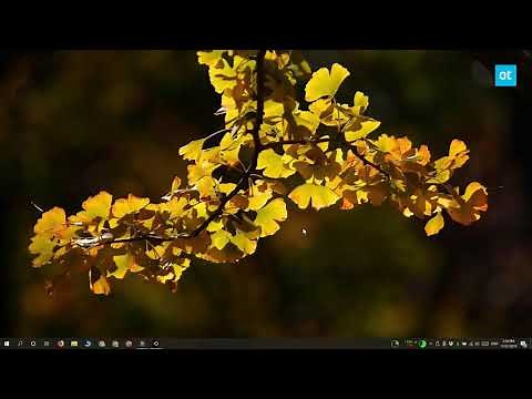 How to fix ‘This folder is empty’ when connecting an iPhone on Windows 10