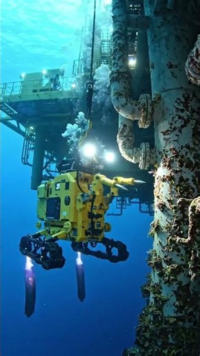 ROV ( remotely operated vehicle) LARS and CP( cathodic protection) measurement.
