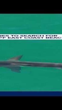 New drones to search for sharks off East Coast beaches