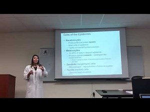 The Integumentary System (hair, skin, nails, and glands)- Dr. Jessica Guerrero