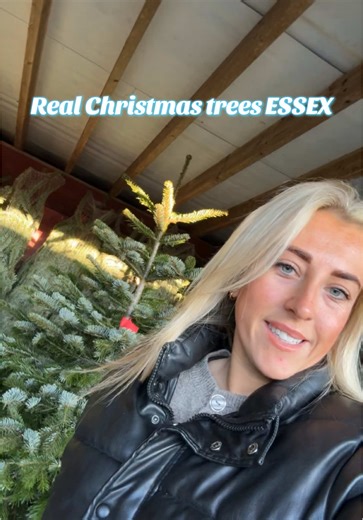 https://realchristmastreesessex.com Real Christmas trees ESSEX #christmas #2025 #realtree #outdoors