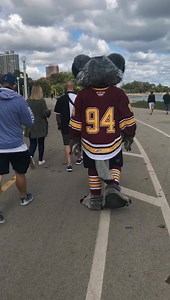 Chicago Wolves on Reels