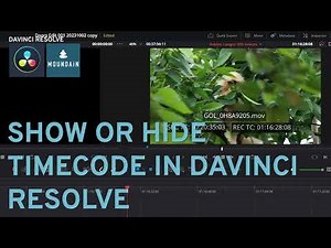 Add or hide timecode Burn-in on video in Davinci Resolve using Data Burn-in