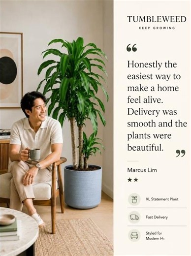 Loved by Singapore Plant Owners 🌿